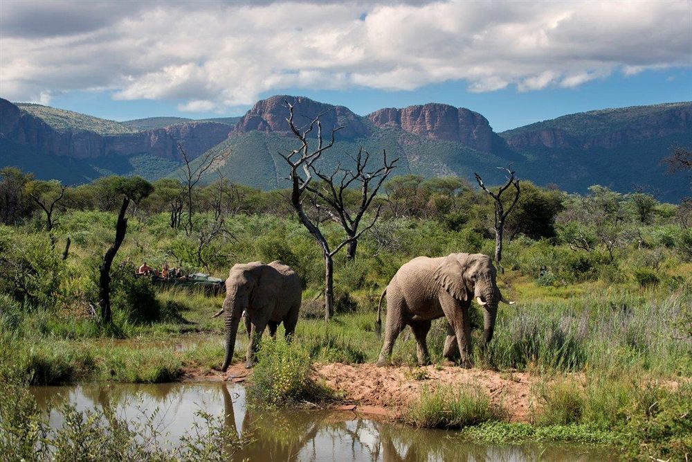 Marataba Safari Lodge Hartbeestfontein Kültér fotó